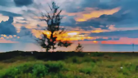 Một buổi chiều êm đềm quá 〰️〰️〰️ Lòng bỗng nhớ về một nơi xa 🐰 #phuquocbinhyen#hoanghonphuquoc #chillvibes 