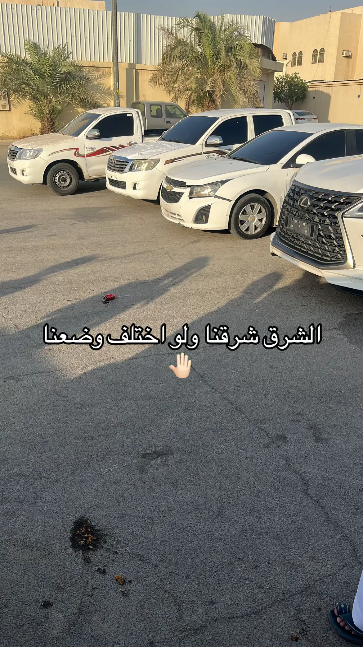 #النهضه #الشرق #fyp 