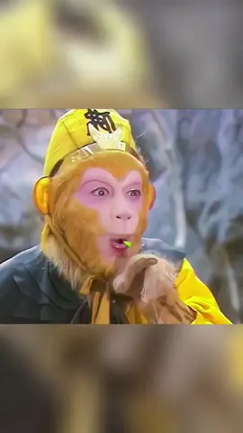 Xem Lão Tôn đây ….. #lissa #coffeetiktok 