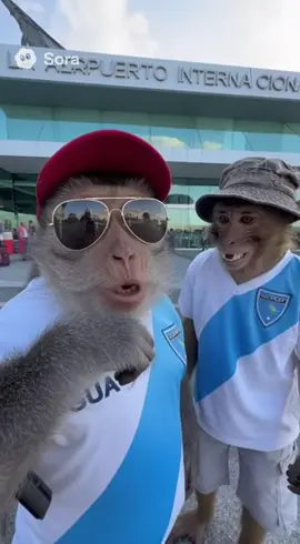 vamos Guate #guatemala #futbol #elsalvador 