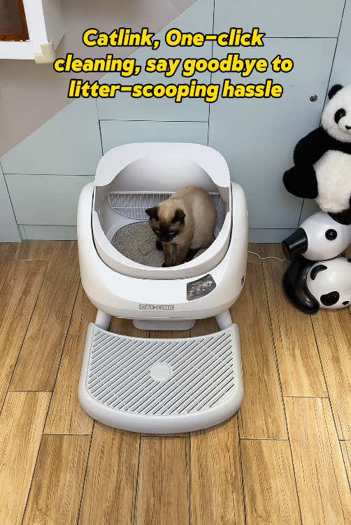 cat litter box #catlinklitterbox #catlitterbox #automaticlitterbox #catlink #cathealth #ailitterbox 