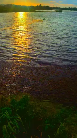 Ngày mình đi….. 🥰🥰 #canhchillvungque🌾 #mientayquetoi #xuhuongtiktok #tamtrang #songnuocmientay 