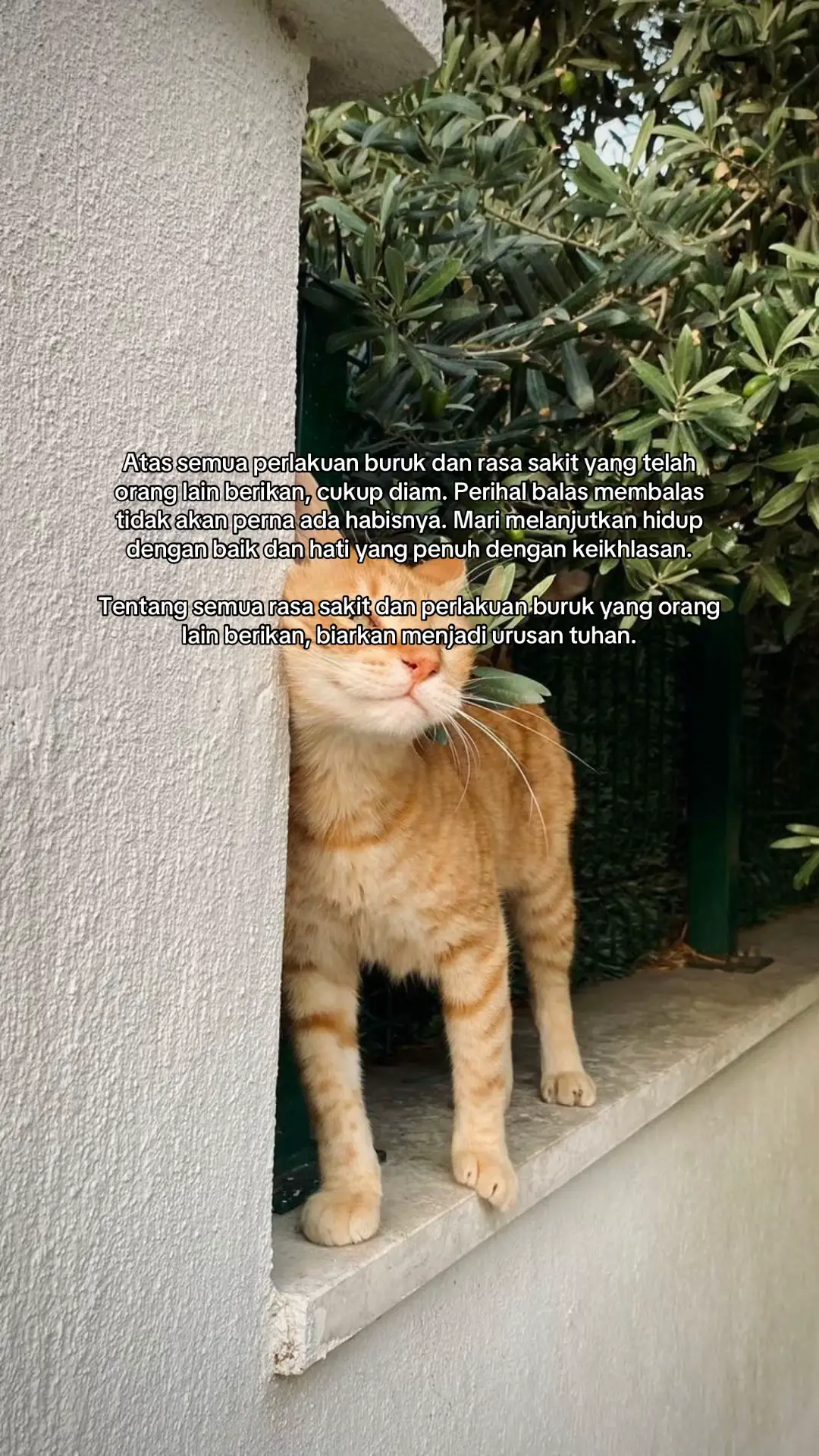 #trend #fyp #galaubrutal🥀 #foryoupage #sadstory 