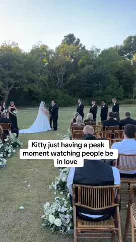 He sat there almost the whole ceremony watching from the woods this wedding ceremony. I think this was a peak moment for him. #wedding #weddingfunny #cats #catsoftiktok #weddingthings 