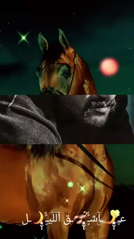 #كي لا تموت مرتين ، لا تعود لمن خذلك 🖤:كُن قوي • فـ الحياة تــُـۿلك الضـ؏ـفاءَ،