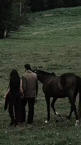 #horselife #မြင်းချစ်သူများ #မြင်းဝါသနာရှင်အပေါင်းအားလေးစားလျှက်🙏