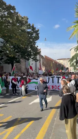 #plestine🇵🇸 #plestine🇵🇸❤️ #verona #viaggiareinitalia #tiktokitalia