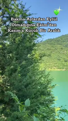 EylülZede🍂 #kelfetbeniöneçıkar  #eylül  #beniöneçıkart  #fypシ゚  #indian  #beşkonakköprülükanyon  #manzarastory  #antalya07  #07  #doğa  #keşfet 