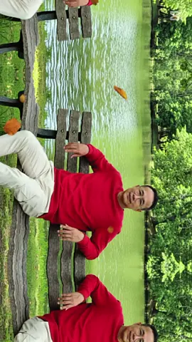 #foryou  #ရွက်ဟောင်းကြွေချိန်မှာဆိုအမြဲလိုပါပဲ😉 