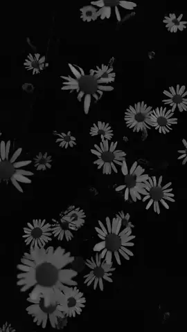 كانت اجمل الساعات تلك التي يجلس فيها معنا  #دعاء_يريح_القلوب_ويطمئن_النفوس 