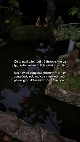 …#tamtrang #story 