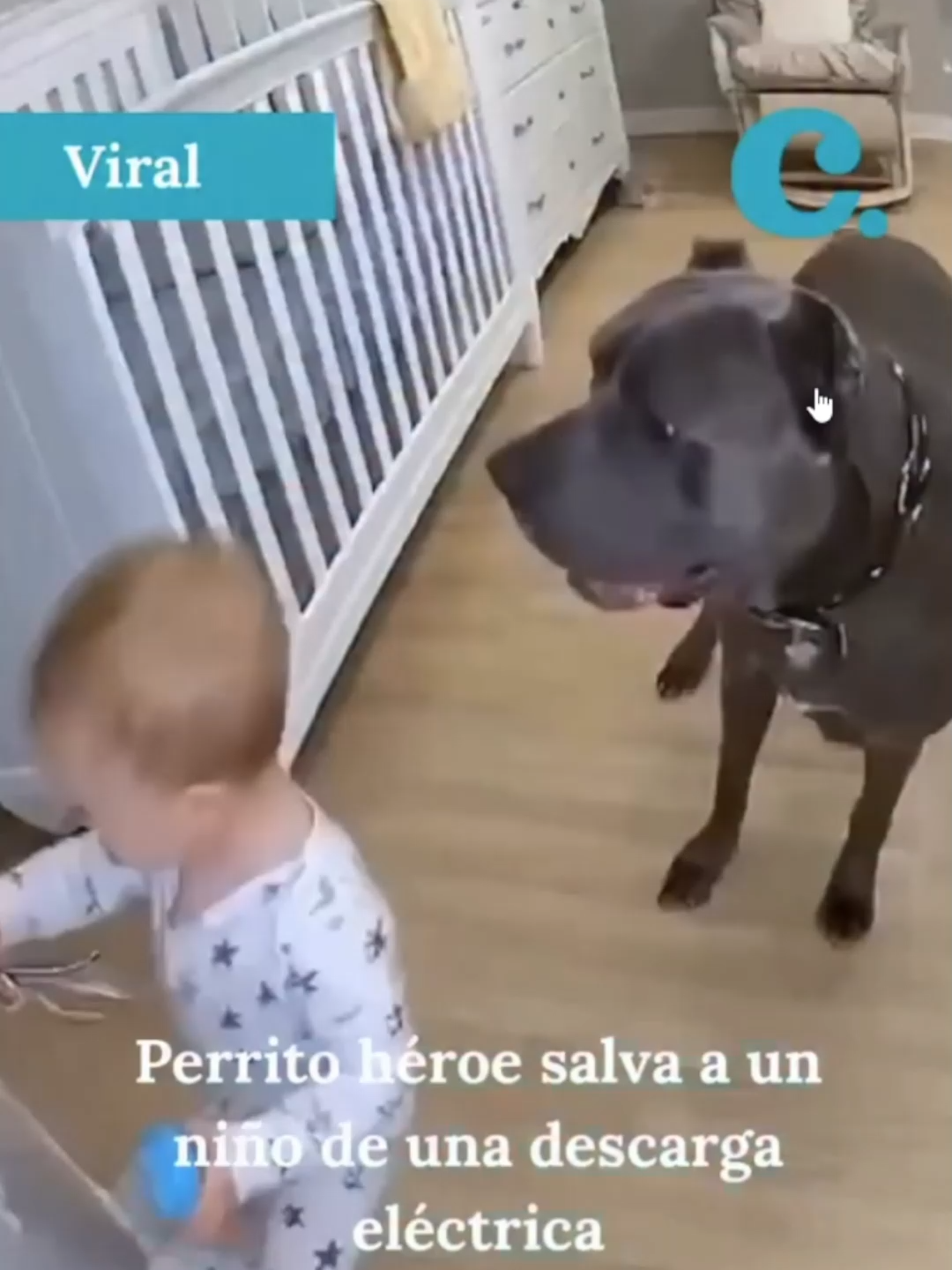 NOTICIAS FAFLSAS