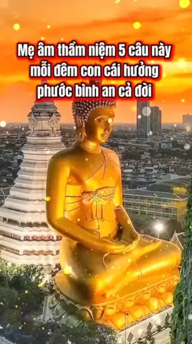 Mẹ âm thầm niệm 5 câu này mỗi đêm con cái hưởng phước bình an cả đời #loiphatday #phatphapnhiemmau #thaiconghoa31 
