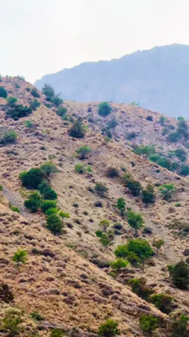 Balochistan chiltan ❤️⛰️ #viral #foryou #video ❤️ #balochistan #chiltan ⛰️❤️