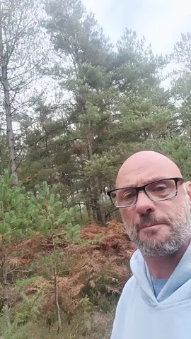 #walk #newforest #NomadLife #books #author 