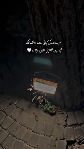 Main larka 😔❤️‍🩹#lines💔 #poetry❣️✴️ #virlvideo #fyppppppppppppppppppppppp #creatorsearchinsights 