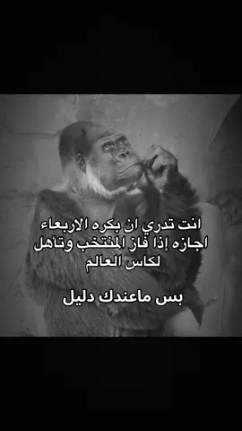 #الشعب_الصيني_ماله_حل😂😂 