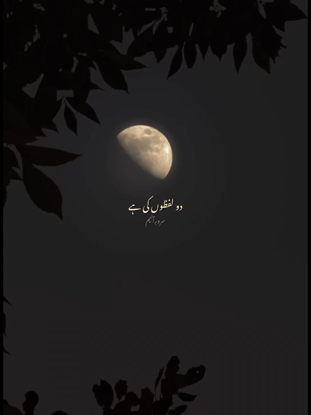 Do lafzon ki hai dil ki kahani 🧸❤️ Poetry | Shayari | Vocals | Slowed Reverb | Status | Old bollywood songs | Asha bhosle songs | 90's songs ##fyp #foryou #foryoupage #foryour #vocals