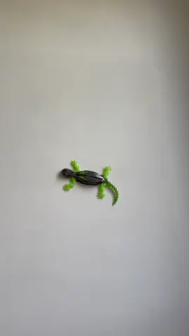 This remote control wall-crawling gecko toy is INSANE! It moves 360°, lights up, and actually climbs smooth surfaces#fyp #toys #kidtoys #giftideas #gecko 