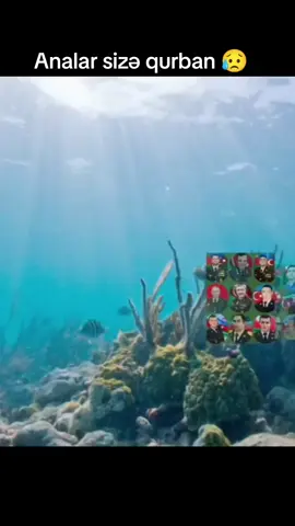 Şəhid Tural kəşfet kəşfet kəşfet tiktok 