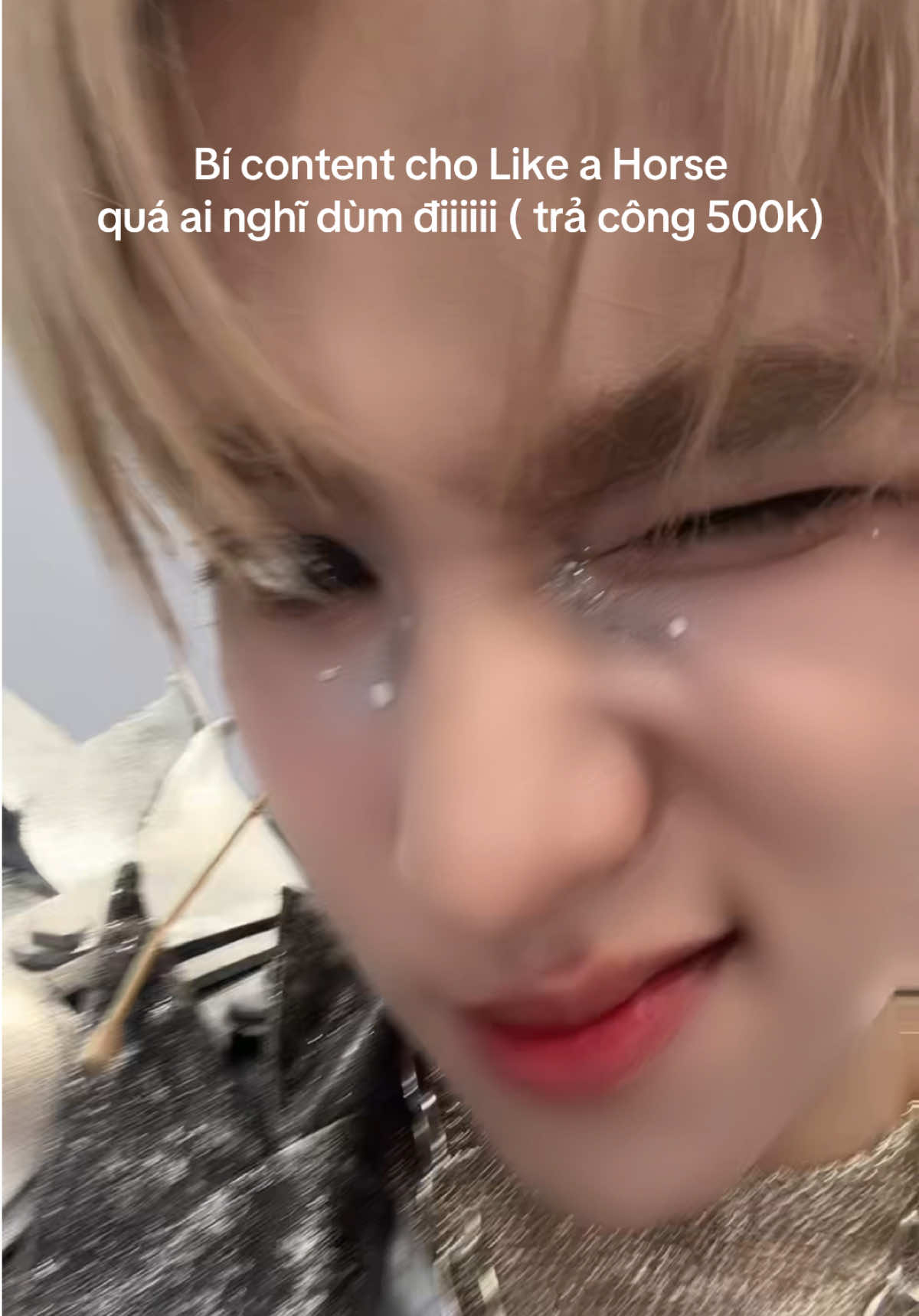 hehehehhehehhehe #DoNamSon #LIKEAHORSE #AnhTraiSayHi2025 #ATSH 