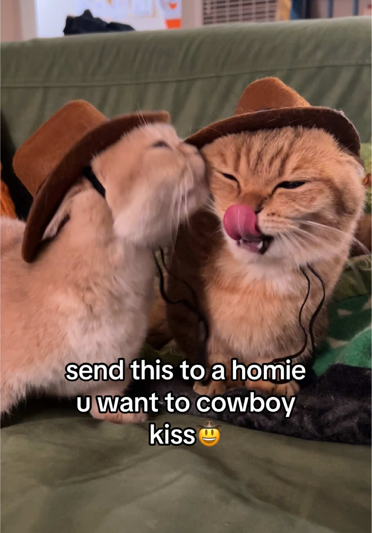 yesterday was mombert and i’s anniversary, this felt like an appropriate post for that #fypppppppppppppppppppppppppppppp #doobscoobgoob #catsoftiktok 