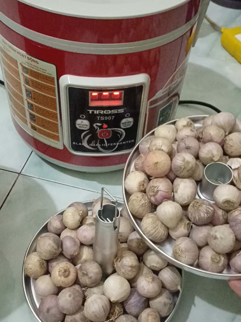 #Traidep6muistore #toiden #toidencodon #maylamtoiden #tiross 