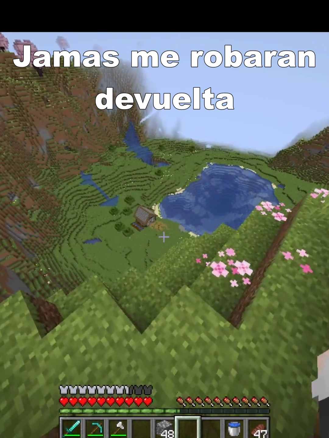 Habia que agregar lore al server #Minecraft #fyp #inver #fyp #minecraftmemes #minecraftfunnymoment