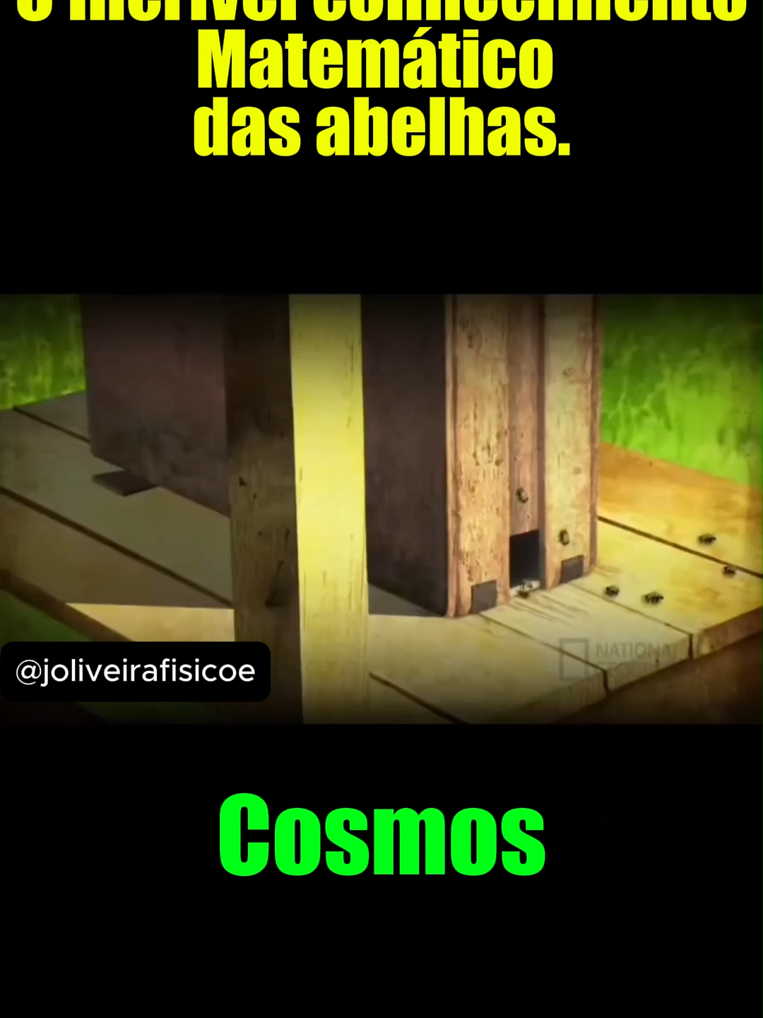 Mais inteligentes do que parecem? 🌼  Elas não apenas produzem mel — as abelhas têm habilidades cognitivas surpreendentes! 👇  🧠 Memória e aprendizado: Estudos mostram que abelhas conseguem aprender padrões, lembrar caminhos e até associar cores com recompensas. Elas têm excelente memória espacial!  Capacidade de contar: Acredite se quiser: as abelhas conseguem contar até 4! Em experimentos, elas foram capazes de identificar quantidades específicas para encontrar alimento.  Trabalho em equipe: A famosa “dança das abelhas” é uma forma de comunicação super eficiente para indicar onde estão as melhores flores. Isso exige uma incrível coordenação social.  🧪 Resolução de problemas: Já foram treinadas para empurrar bolas em labirintos para receber uma recompensa, o que mostra que podem aprender por observação!  🐝 Pequenas, mas geniais. E ainda essenciais para a vida na Terra.  Proteger as abelhas é proteger o nosso futuro. 💛  #Abelhas #NaturezaInteligente #Ciência #curiosidades #salveasabelhas