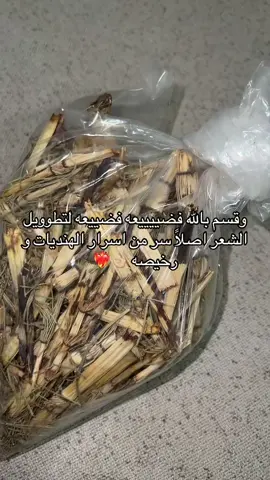 #حفرالباطن_الان #حفرالباطن_الان #fyp #fypシ゚ #الشعب_الصيني_ماله_حل😂😂 