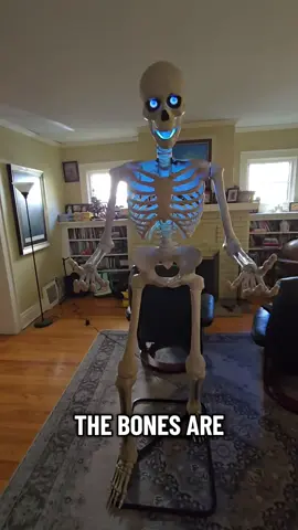 when you get an animatronic skeleton that says anything you want...  #timrobinson #ithinkyoushouldleave #skeletonsong #skeleton 
