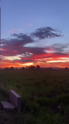 #freetostory #vibes #sunset #trending 