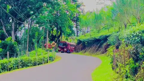 දෙනියායෙදී එයා 🤩❤️ Dhoom Unlimited ❤️ #fyp #srilanka #bus #special 