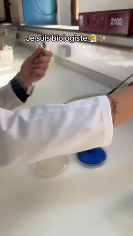 #algerie🇩🇿 #oran #شعب_الصيني_ماله_حل😂😂 #دراسة 