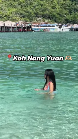 📍Koh nang yuan สวยมากกกกกก น้ำใสหาดขาว ไอเลิฟ  🫶🏻 #kohnangyuan #เกาะนางยวน #ทริปดําน้ํา 