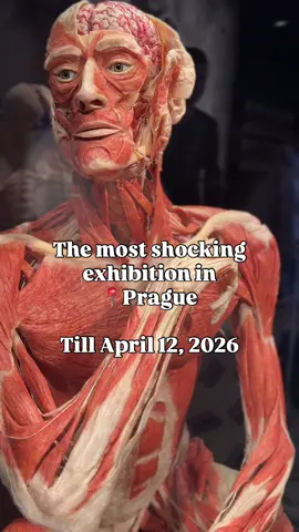📍 Body Worlds Exhibition – Westfield Chodov, Prague 11 Easily accessible by public transport: take the red metro line from the city center towards Háje and get off at Chodov. Follow the signs to Westfield Chodov Shopping Centre – the exhibition is on the 1st floor. 🛍 Westfield Chodov is the largest shopping centre in the Czech Republic, so you can easily combine your visit with some shopping. 🕘 Opening hours: 	•	Monday – Friday: 9:00 – 20:00 	•	Saturday – Sunday: 9:30 – 20:00 Last entrance at 19:00 🎟 Tickets (at the cashier): 	•	Adults: 360 CZK (~15€) weekdays / 390 CZK weekends 	•	Kids 6–15 y.o.: 250 CZK weekdays / 260 CZK weekends 	•	Kids up to 5 y.o.: free 📅 Temporary exhibition – open until April 12, 2026 A perfect spot for a fascinating and educational outing combined with shopping!