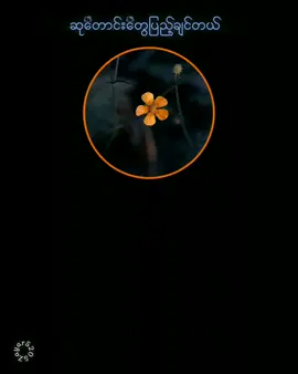 Replying to @ma.thu980 #ပြန်ပေးလိုက်ပြီနော်ကျေးဇူးပါ #tiktoktrend #ဆုတောင်းတွေပြည့်ချင်တယ်▶နီနီခင်ဇော် #music #lyrics 