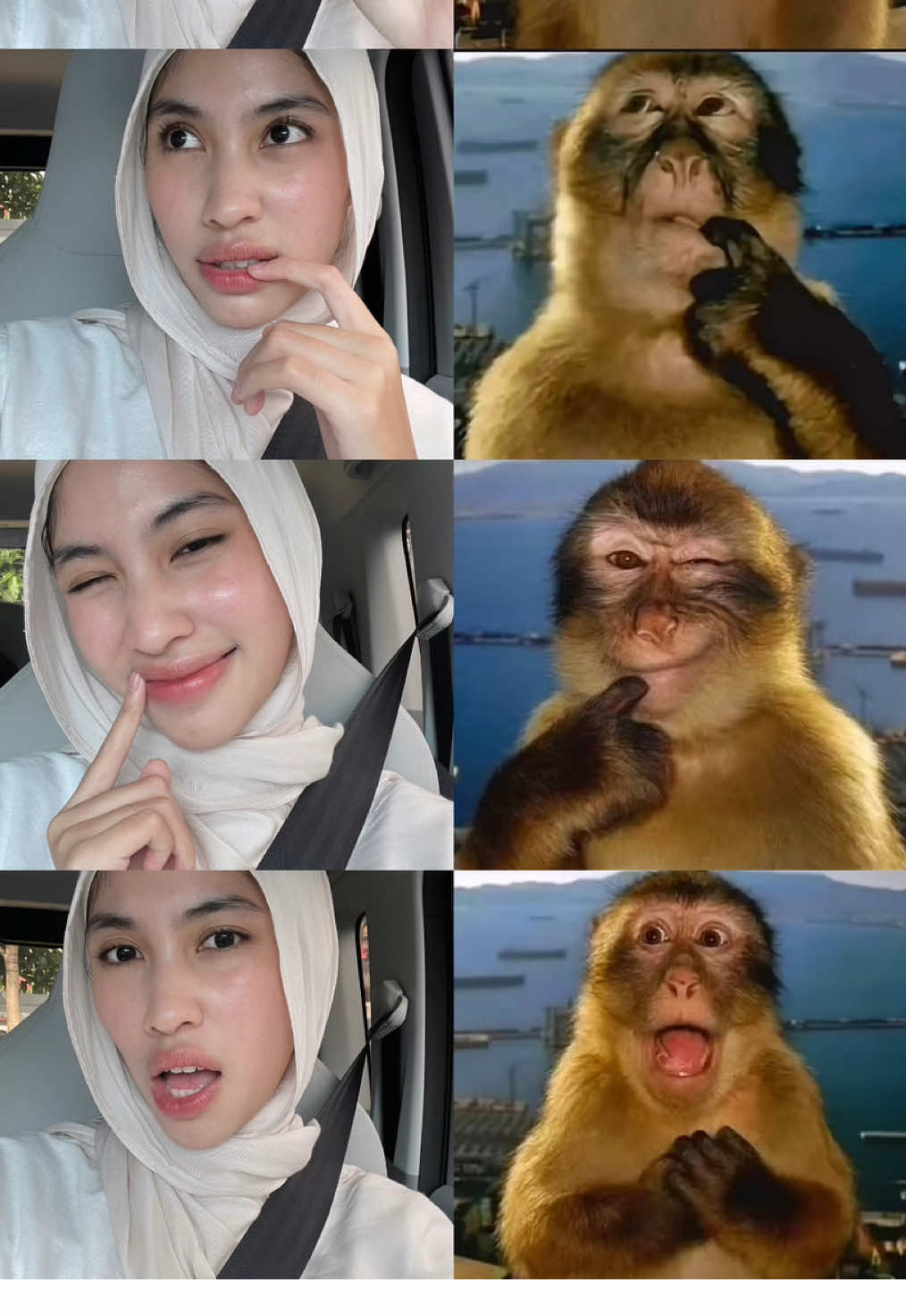 trend #monkeys lucu