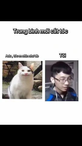 Cắt cho nó mát thôi!#cattoc #dungsenpai #toc #tocxau #che 