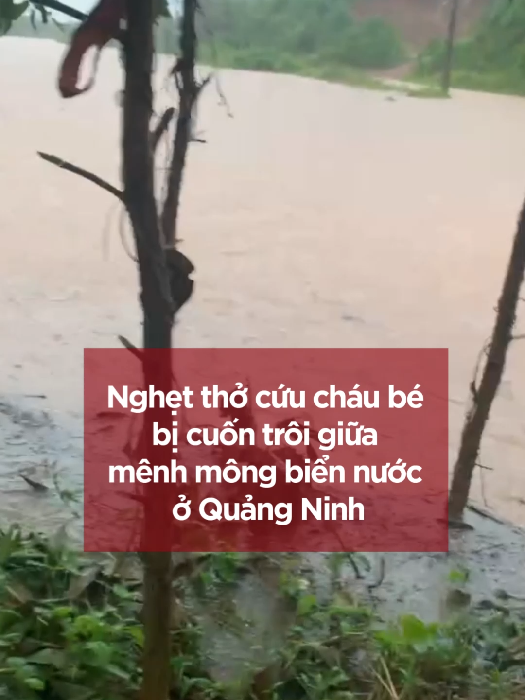 Cứu cháu bé bị cuốn trôi giữa mênh mông biển nước... 📷#tuyenvanhoa #tvhnews #tvhxahoi #lulut #giongbao #baoso11