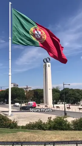 Le Portugal va devenir plus riche que la France. #portugal #france #riche #tourisme #actu 