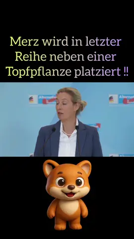 „Merz wird in letzter Reihe neben einer Topfpflanze platziert“