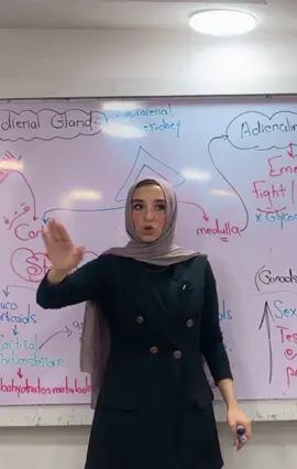 المخ بطبيعته غير قادر على استيعاب احساس السعادة الشديد الدائم طول الوقت و ده طبعا بيخدم عقيدة ان الدنيا دار امتحان وليست دار بقاء ❤️