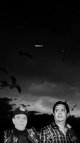 مد جناحك#لطفي_الورغمي  منذر العڨربي@𝐖🅰️𝐄𝐋 @𝐖🅰️𝐄𝐋 @𝐖🅰️𝐄𝐋 