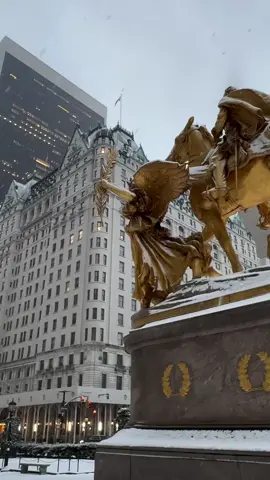 HomeAlone New-York The plaza hotel winter christmas ❄️❄️ #homealone #newyork #theplazahotel #winter #christmas 