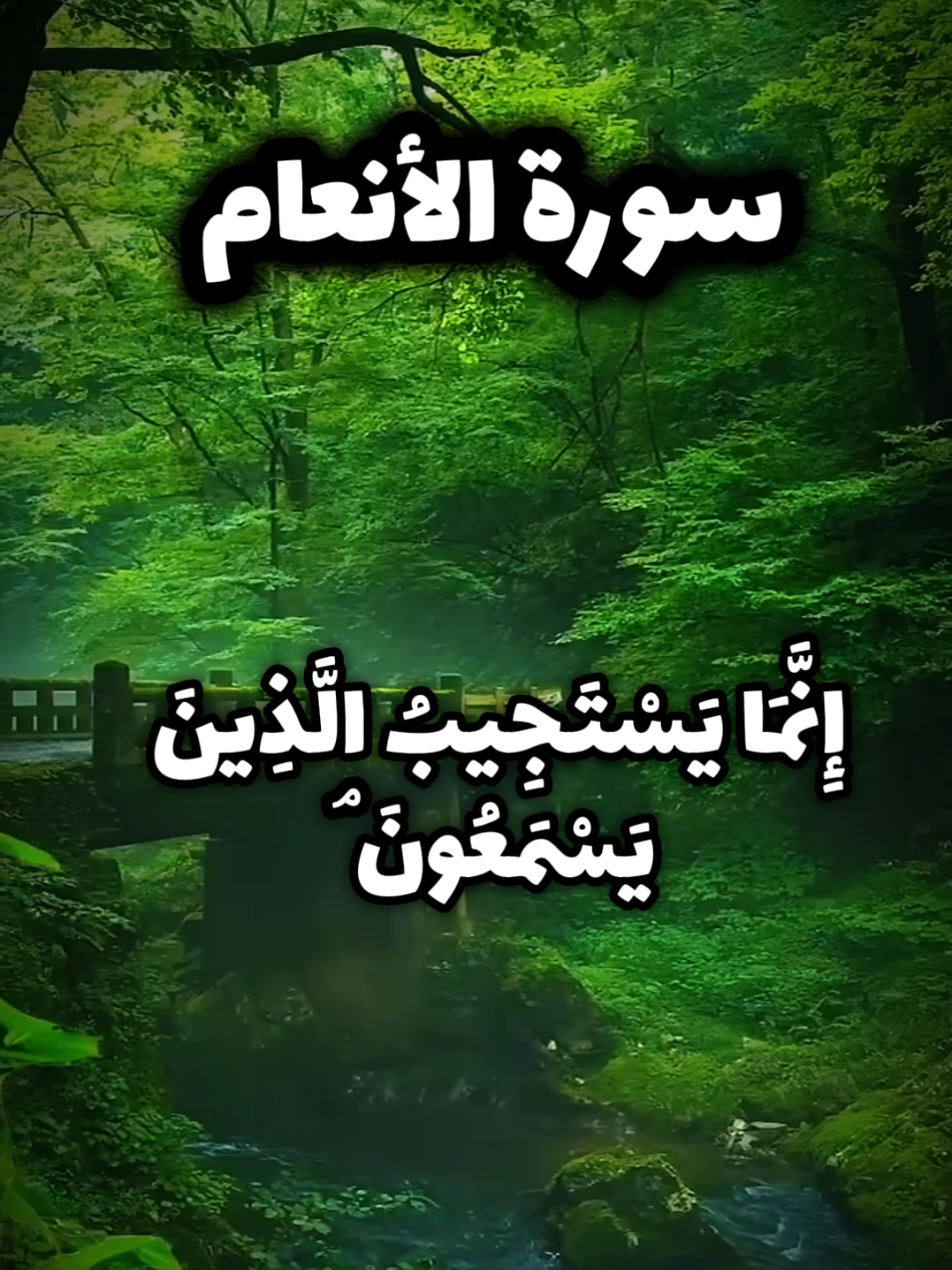 إنما يستجيب الذين يسمعون  @A_A_A  آيات من سورة الأنعام { 36 _ 39 } بصوت القارئ ريان المحيسني 