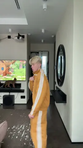 ВНИМАНИЕ НА КОТА!