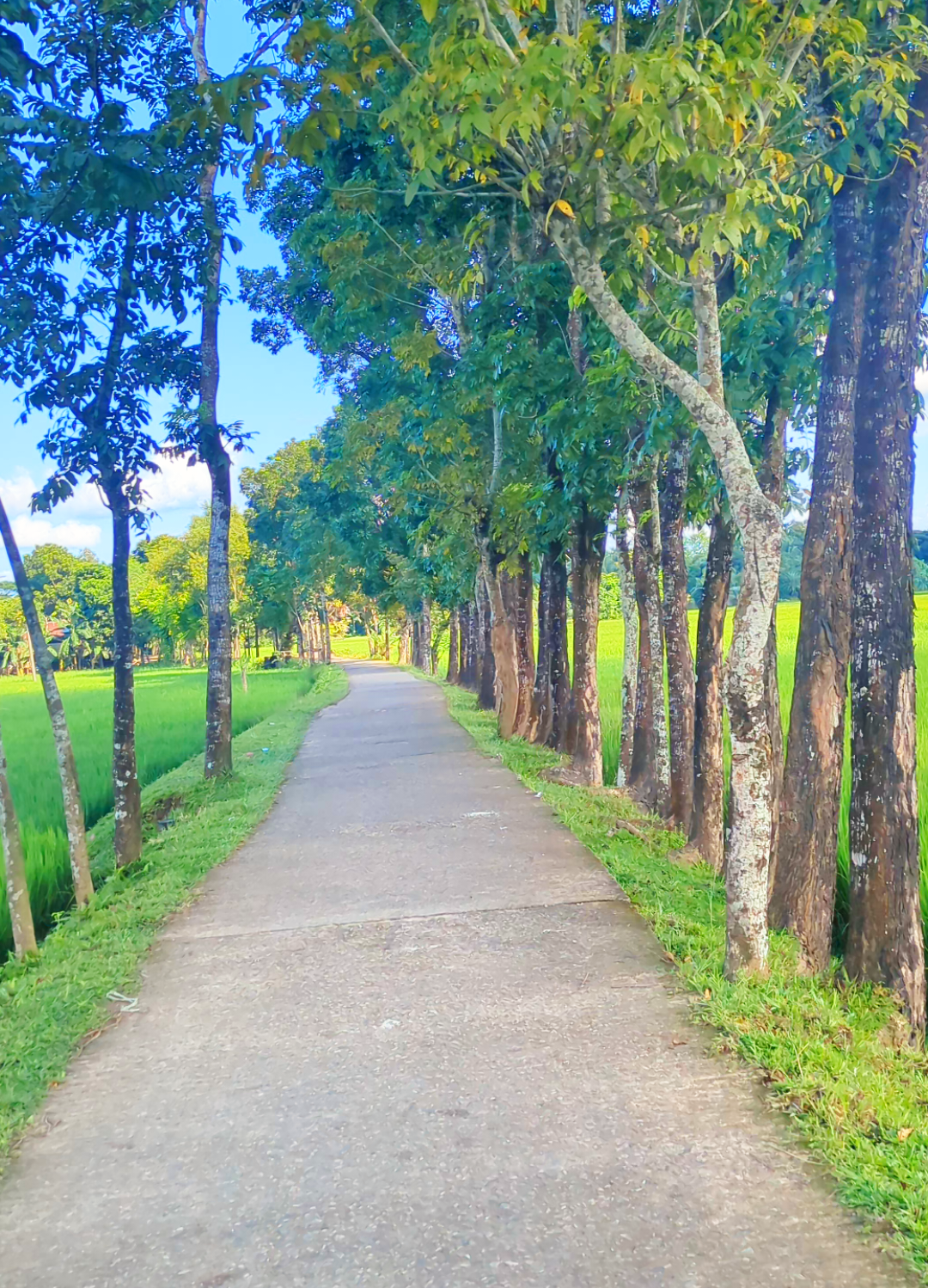 মানসিক শান্তি এখন প্রকৃতিতে।🥰🌿🌿🩷 #Foryou #Foryoupage #netural #tiktok #viralvideo 