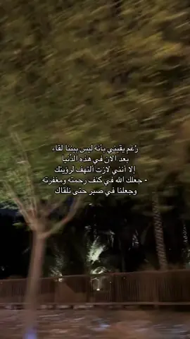 #الاب #فقد 