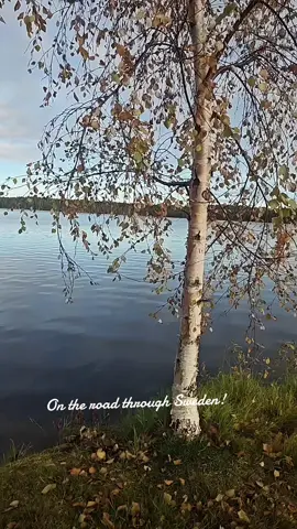 #robot #autumn #power #sweden🇸🇪 #nature 
